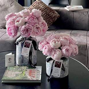 青花瓷花瓶客厅插花中式古典陶瓷美式装饰复古玄关瓷器高级感花瓶