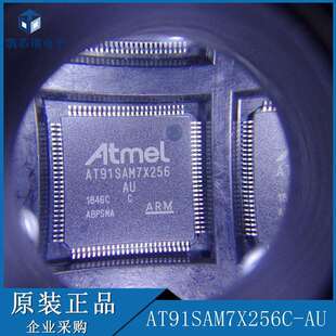 AT91SAM7X256C-AU 芯片 微处理器控制器 32位 LQFP-100拍前咨询