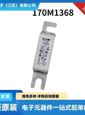 170M7517 170M7520 170M7521 170M7531原盒快速熔断器 熔芯
