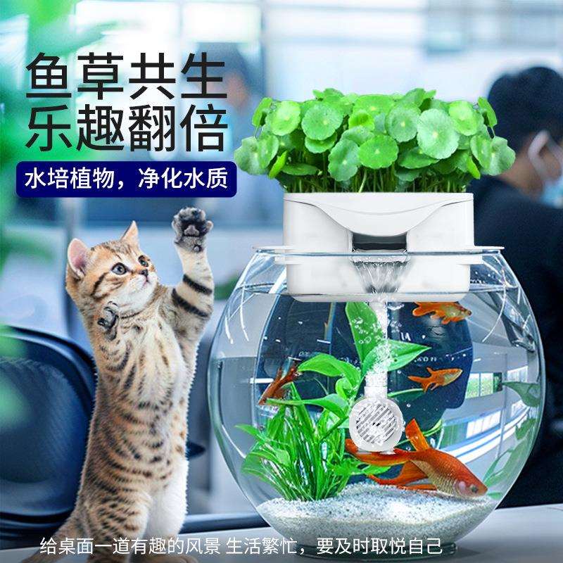 疯狂水草圆形鱼缸鱼草共生过滤器上置滴流盒三合一过滤系统过滤盒