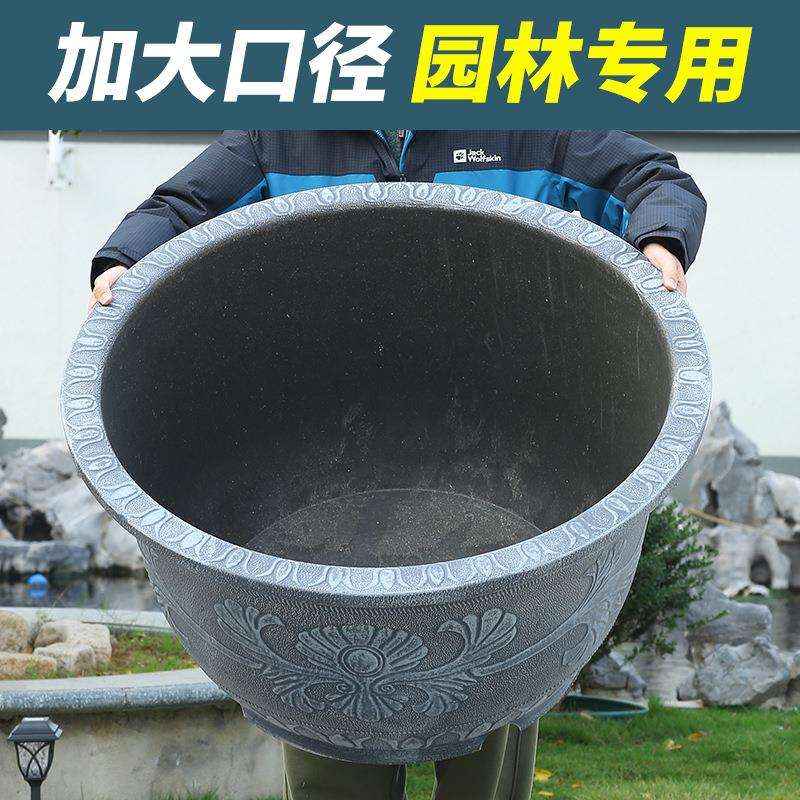 荷花专用盆缸特大口径养睡莲塑料花盆水培铜钱草树脂加厚大水培缸