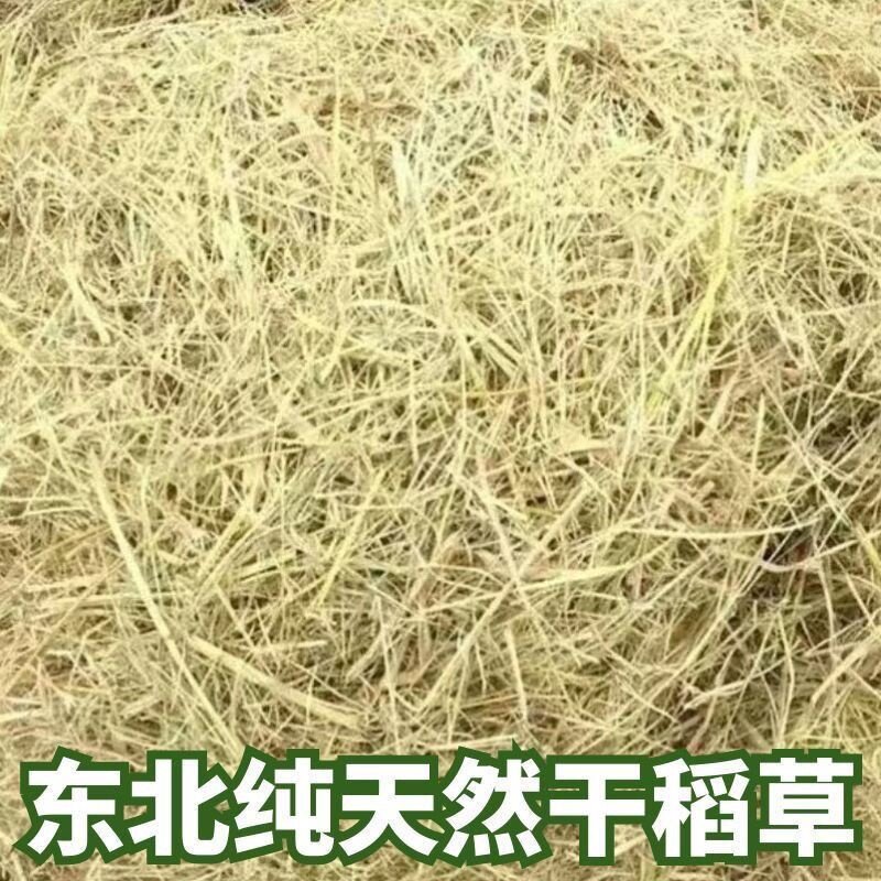 鸡窝下蛋稻草乾草垫料秸秆家用纯天然鸟窝母鸡小鸽子宠物保暖草席