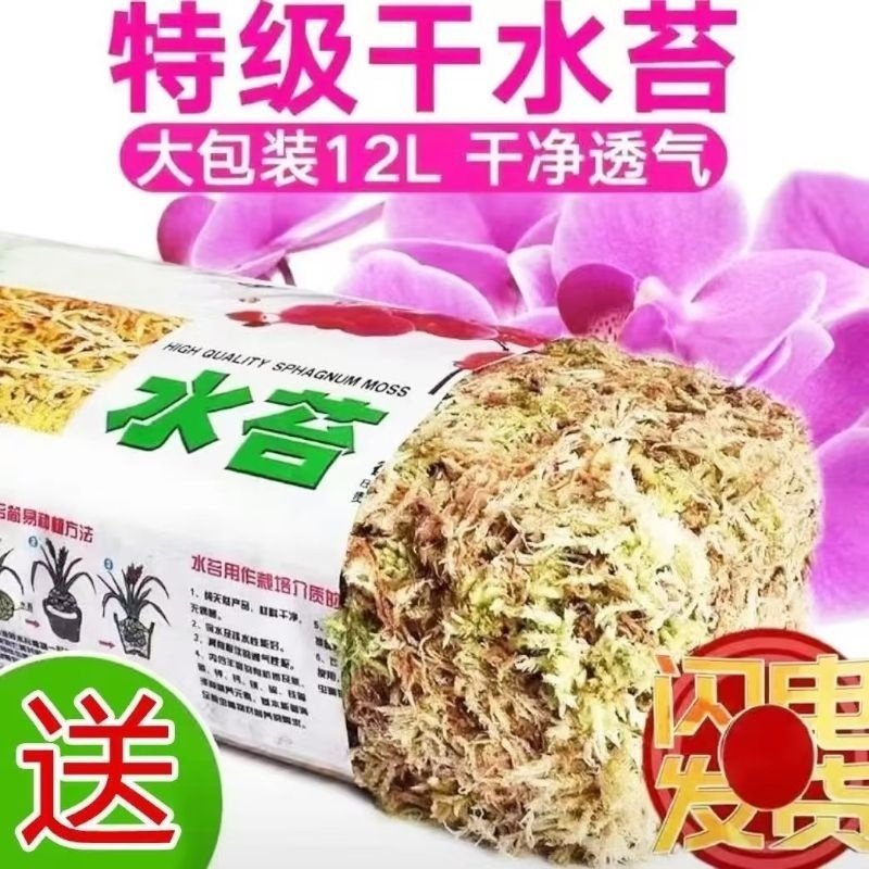 蝴蝶兰专用水苔捕蝇草兰花土乾薹藓乌龟冬眠换盆育苗石斛天然爬宠