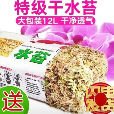 蝴蝶兰专用水苔捕蝇草兰花土乾薹藓乌龟冬眠换盆育苗石斛天然爬宠