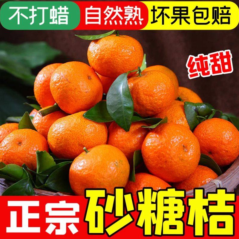 正宗广西砂糖橘新鲜水果当季现摘蜜桔金秋沙糖桔橘子贡柑整箱包邮