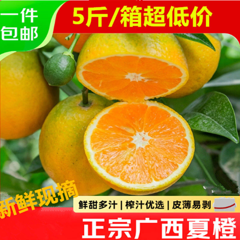 正宗夏橙新鲜当季水果整箱斤秭归夏橙榨汁甜冰糖榨汁用大橙子维C - 实物图