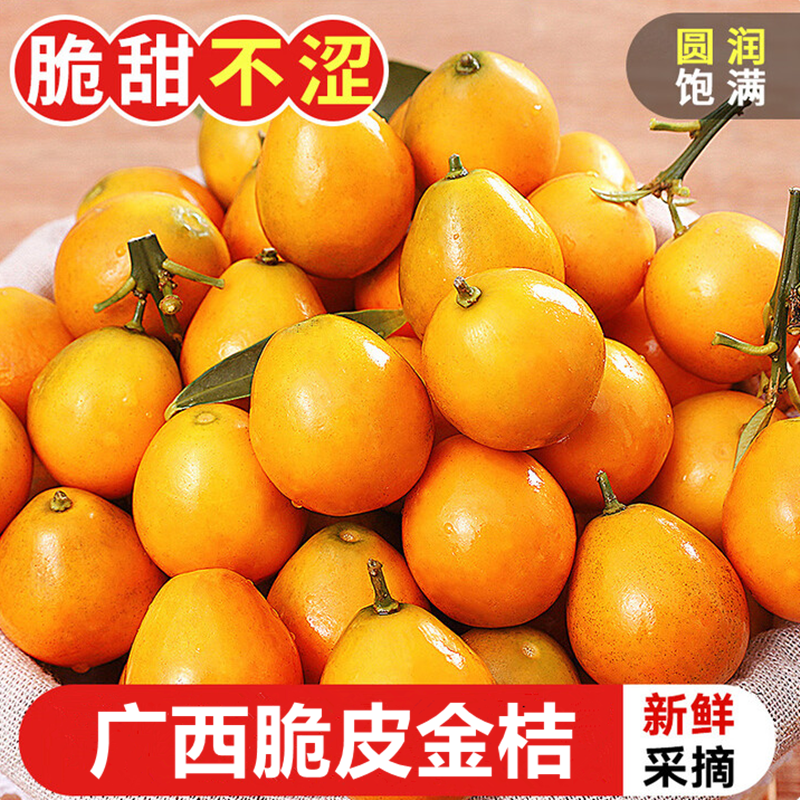 广西融安脆皮金桔当季新鲜现摘