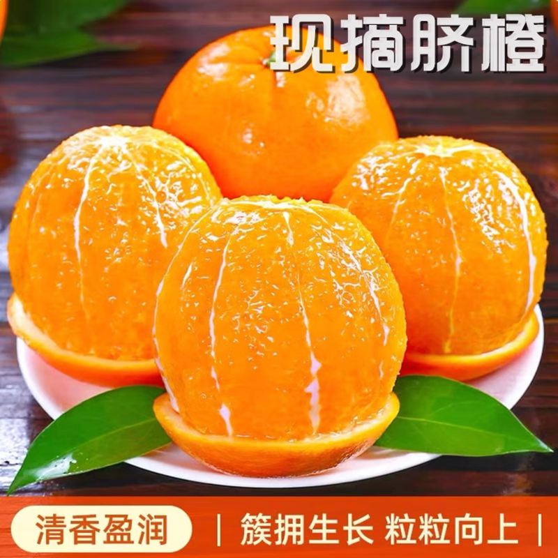 正宗新鲜脐橙现摘当季鲜甜包邮
