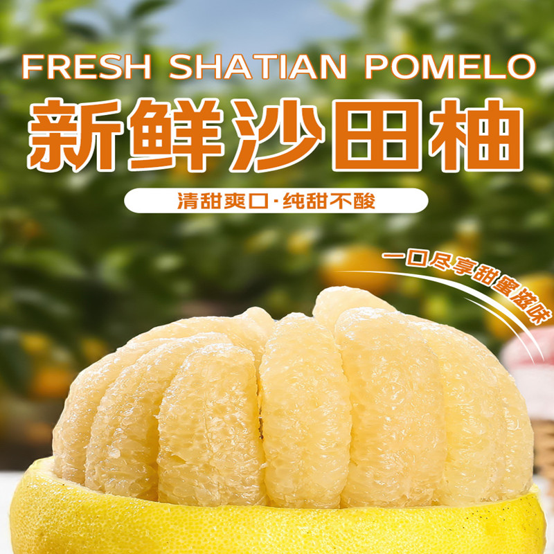 正宗广西沙田柚容县金柚现摘柚子