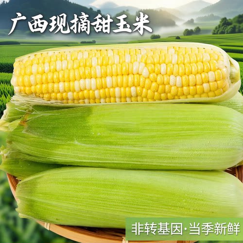 好甜农家种植新鲜现摘脆甜香糯非转基因