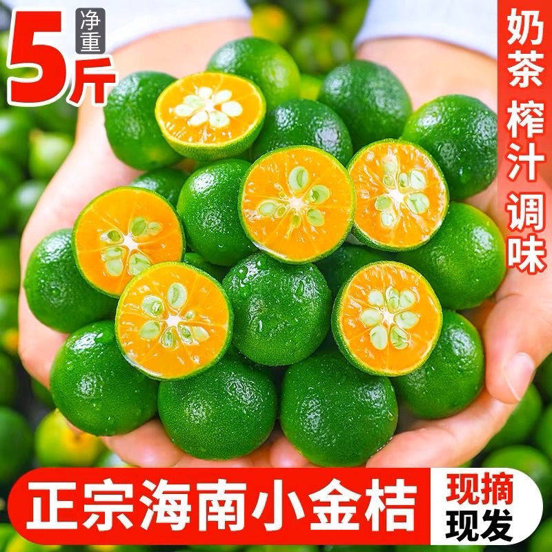 海南小金桔5斤小青柠新鲜青柑青桔皮薄当季水果青柠檬奶茶店专用