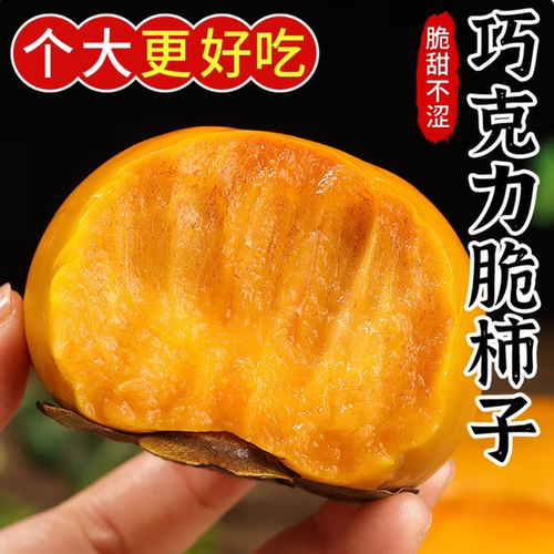 阳丰正宗巧克力脆柿子9斤大甜柿