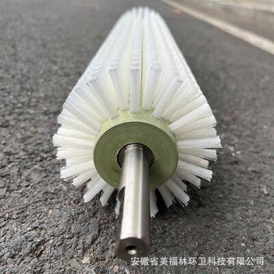 玻璃清洗辊机毛刷机DTR械清扫清除尘毛刷轮光水果抛洗毛刷辊厂家