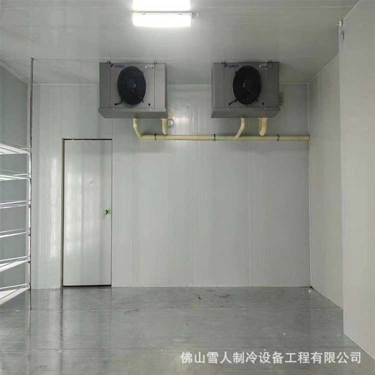 佛山厂家饮料鲜花冷库商用设备冷藏冷冻小型移动后补式疫苗冷藏柜