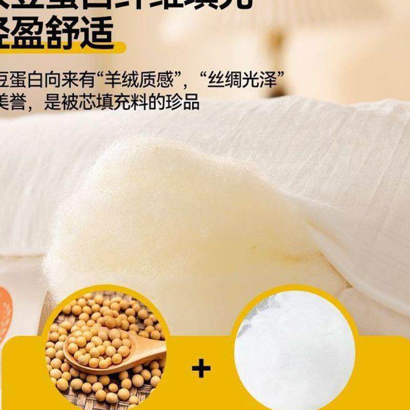 大豆纤维被加冬被暖春秋被单舍人学保生迪晶家纺宿被芯双人厚棉被