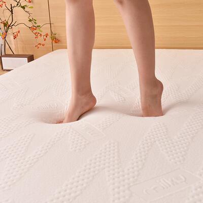 记忆绵床EOA垫海租房榻榻米垫酒店学床褥1.8米生宿舍垫子软可拆洗