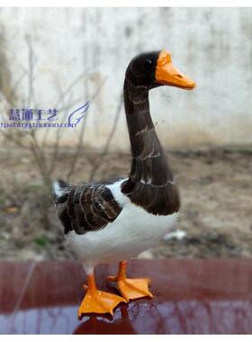 仿真动灰色鹅鹅物型羽毛家禽模居家创意田园摆件儿童认知教DJJ学