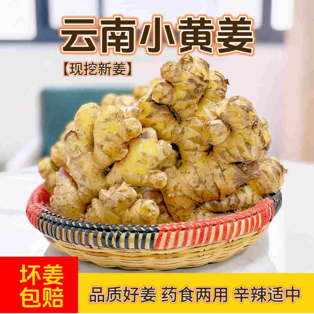 正宗云南小黄姜高山新鲜生姜老姜嫩姜现挖老姜土姜农家新鲜蔬菜