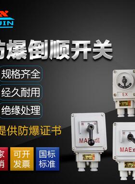 防爆倒顺开关 防爆转换倒顺开关 防爆逆转开关BXQN-10A 30A 60A