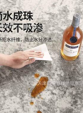 地毯客厅225新款防水高AL667026防污灰色轻奢级脏感0茶几地垫耐免