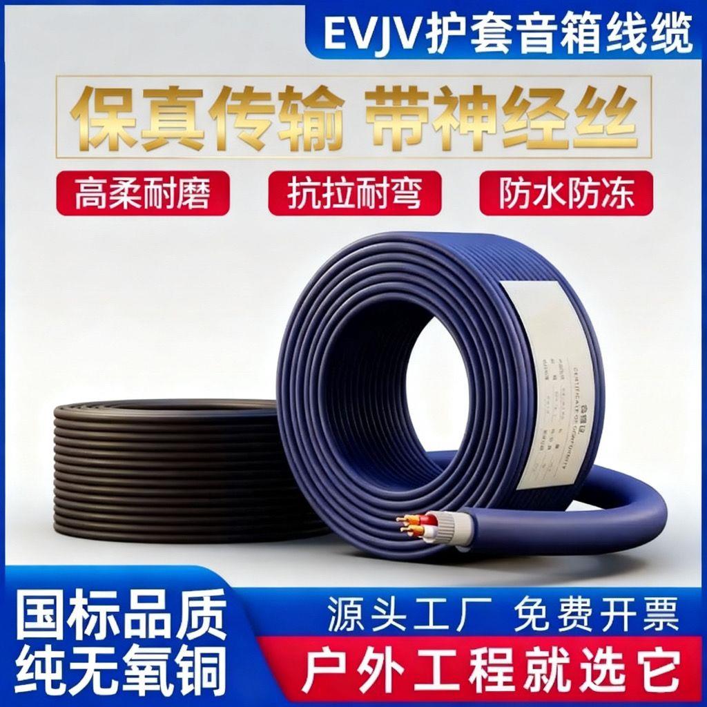 国标室内外舞台音箱线专