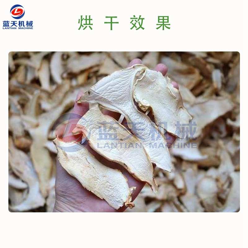蓝天松茸菌烘干机 全智能松茸干片烘干箱 松口蘑赤松茸烘干一体机