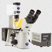 意大P利OIKA生研物显微镜IM T用于实验室细胞KLW观察究 3倒置式