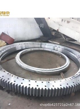 喷锌6米回转支承  轴承防锈处理 风电设备回转支撑 011.75.5600