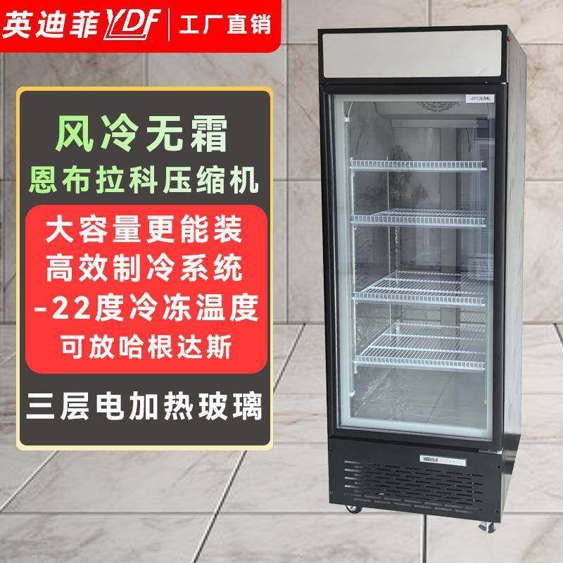 商用冷冻柜立式冷冻展示柜速冻肉类冻品单门立式冰箱低温冰柜