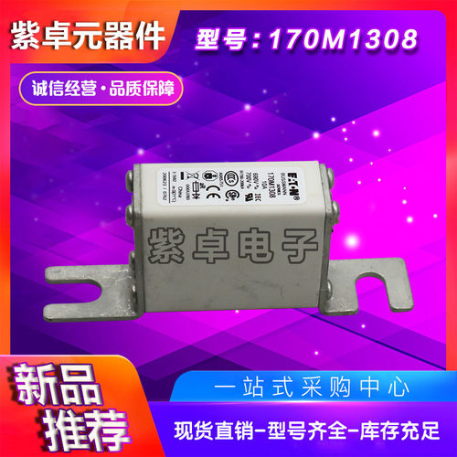 170M1308 170M1309 170M1310 170M1311 170M1312 170M1313熔断器