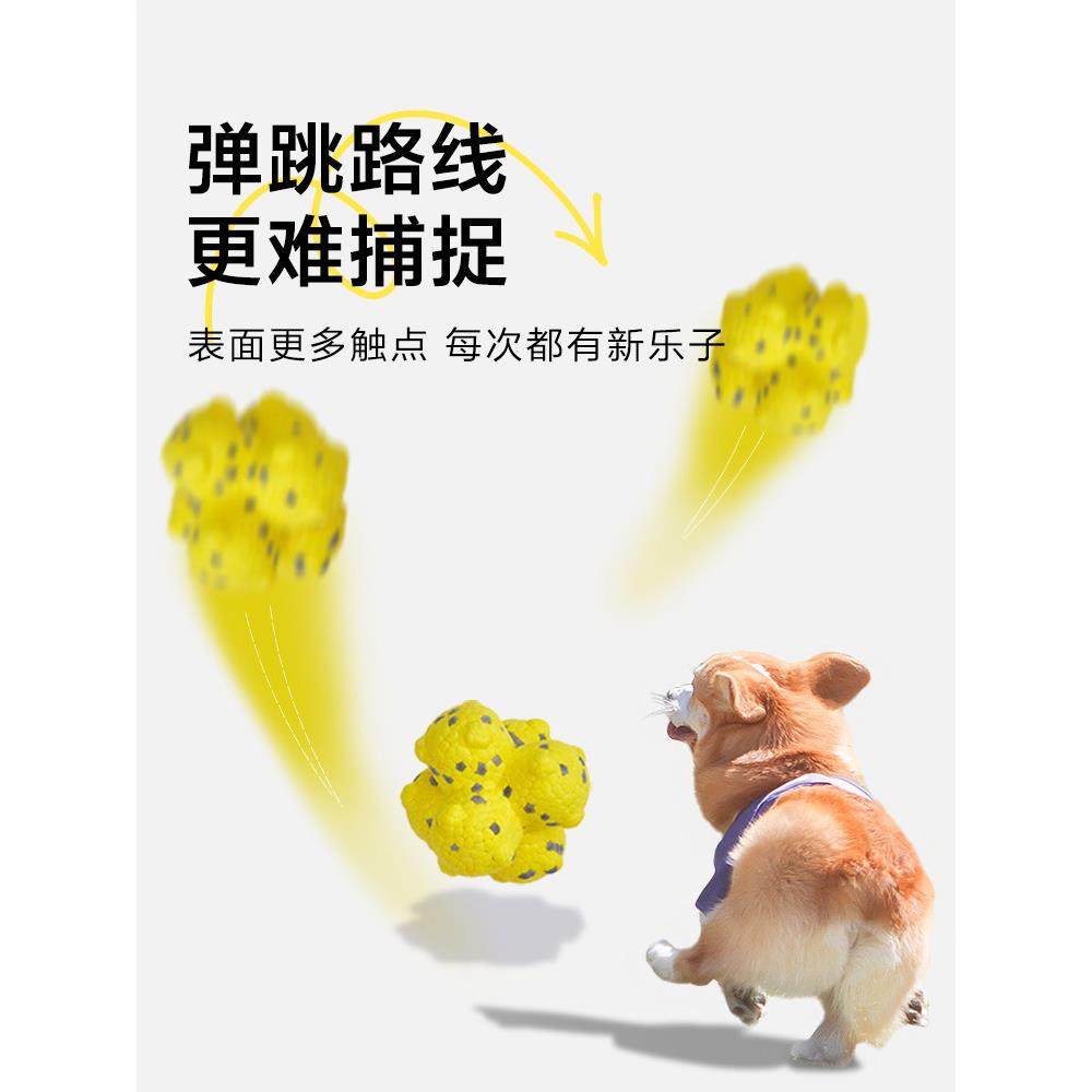 狗狗敏训练球分子球狗狗捷玩具耐304咬牙自嗨解磨闷神器大型宠犬,宠物/宠物食品及用品,橡胶球/球形玩具,淘宝优惠券,粉丝福利购,淘宝优惠卷