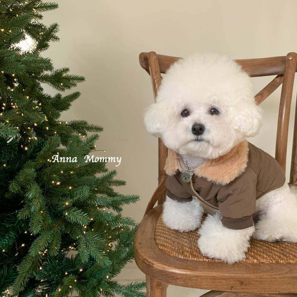 狗狗款衣服雪秋冬季新比宠物猫咪加厚保暖毛领棉衣熊泰迪博747美,宠物/宠物食品及用品,狗宠物服装/雨衣,淘宝优惠券,粉丝福利购,淘宝优惠卷