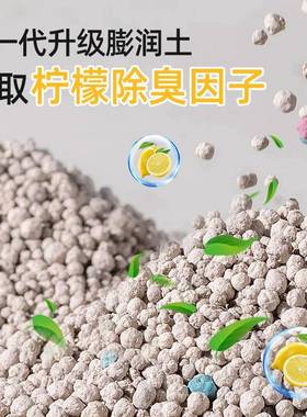 膨润土猫尘砂除臭去尿味包邮20公无猫厕专用杀沙86491斤所菌官方