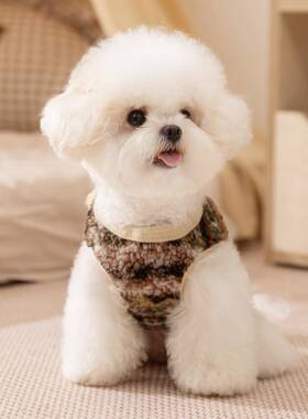 嬉狗狗狗2510SXLB衣服比熊迪小雪纳瑞幼犬秋冬中小型犬皮专用泰宠