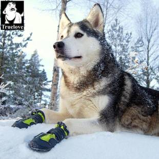 truelove狗狗鞋子冬季泰宠物不防脚套金掉宠物鞋子毛迪用小型品大