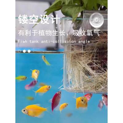 鱼缸水植物固定架定植篮壁挂家用种水草植杯鱼缸式造景装32975培