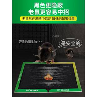 次日达老鼠贴超强力粘鼠板灭鼠胶神粘大鼠抓老老鼠夹子用扑捉器家