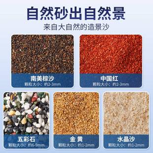 鱼缸底部砂石造免洗底砂景火山头001石沙溪流雨林沙化妆白乌龟石