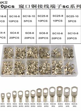 170Pcs电线铜环端子接线片套件镀锡电池电线焊接连接器sc系列