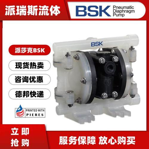 BSK气动隔膜泵BP06PP-P991-BBP15PP-PTT4-BPBB1耐腐蚀污水处理