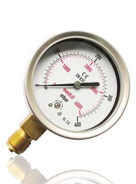 径向不锈钢微压表膜盒压力表低压立装半钢YE-100 400mbar M20*1.5