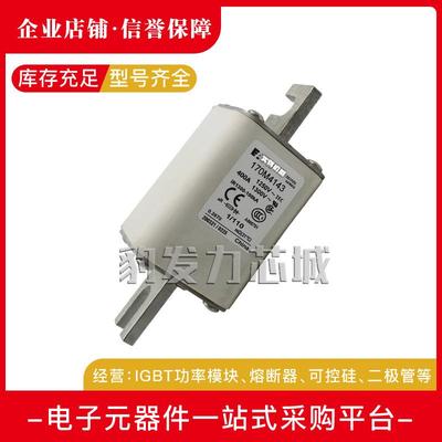 170M4832170M4833170M4834170M3812/3981/3982170M3983熔断器