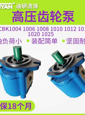A1FL高压B1FR齿轮泵CBK1004/1006/1008/1010/1012/1016/1020/1025