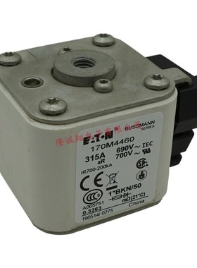 熔断器170M4492 170M4493 170M4494 170M4495 170M4496 170M4497