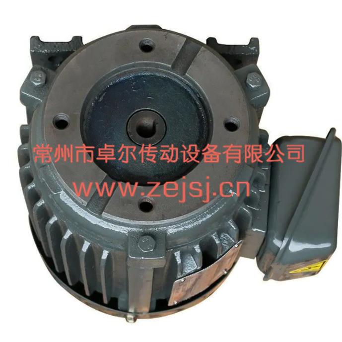 PV2R1油泵电机直销叶片泵专用油泵电机叶片泵油泵电机