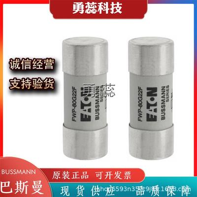 熔断器FWP-80G22FFWP-100G22FFWP-8G14FI
