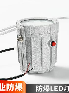 LED防爆视孔灯多规格防爆视镜灯高亮照明灯反应观察灯20W30W