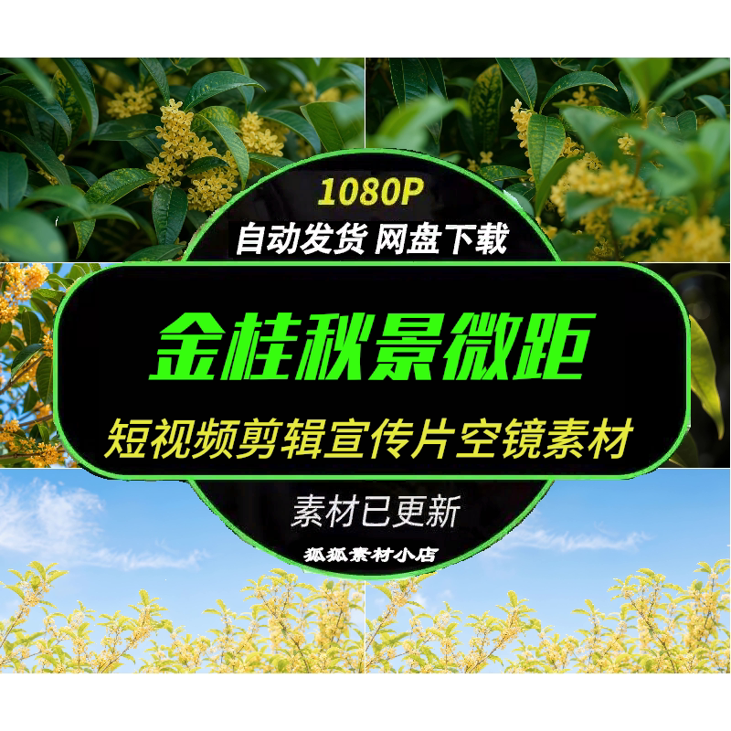 秋日治愈金桂黄花绿叶微距镜头
