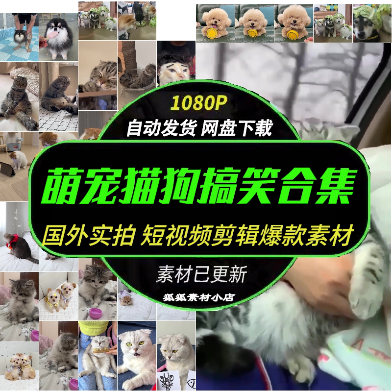 猫狗萌宠高清无水印素材即下