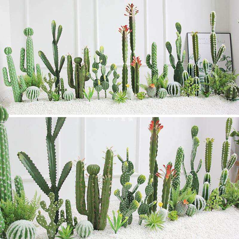 北欧仙人掌景观民宿咖啡店橱窗长方形设计沙漠绿植仙人柱造景